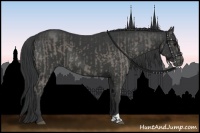 Horse Color:Grullo  and Black 