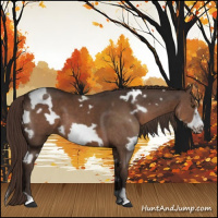 Horse Color:White Spotted Liver Chestnut Frame