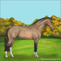 Horse Color:Buckskin Roan Varnish 