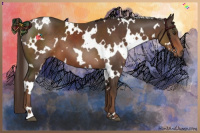 Horse Color:White Spotted Liver Chestnut