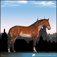 Horse Color:Bay Tobiano