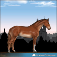 Horse Color:Chestnut Tobiano 