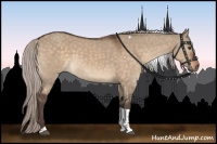 Horse Color:Silver Brown Dun Tobiano 