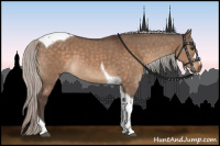 Horse Color:Silver Brown Dun Tobiano 