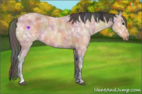 Horse Color:Nacre Bay Ice Roan 