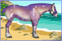 Horse Color:Watercolor White Spotted Liver Red Onyx 