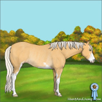 Horse Color:Silver Amber Cream Champagne Sabino Rabicano 