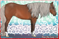 Horse Color:Silver Bay Roan