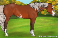 Horse Color:Silver Brown Sabino 