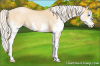 Horse Color:Silver Smoky Black Pearl Sabino Splash