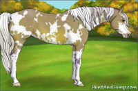 Horse Color:Watercolor White Spotted Silver Brown Sabino 