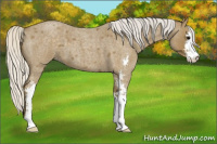 Horse Color:Silver Smoky Blue Roan Sabino 