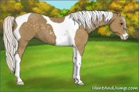 Horse Color:Silver Smoky Black Sabino Tobiano
