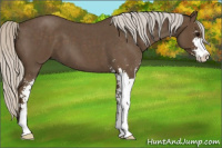 Horse Color:Silver Smoky Blue Roan Sabino 