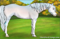 Horse Color:Watercolor Silver Bay Chinchilla Onyx Sabino 