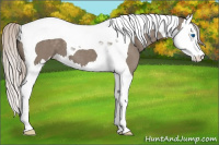 Horse Color:Silver Grullo Sabino Splash Tobiano 