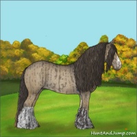 Horse Color:Smoky Grullo  and Smoky Grullo Rabicano 