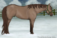 Horse Color:Liver Red Dun 