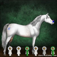 Horse Color:Gray Bay