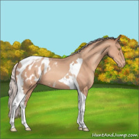 Horse Color:Silver Sable Champagne Tobiano Blanket 