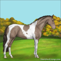 Horse Color:Classic Champagne Tobiano 