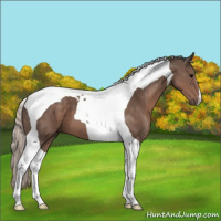Horse Color:Silver Black Tobiano 