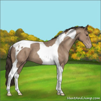 Horse Color:Classic Champagne Tobiano 
