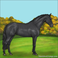 Horse Color:Blue Roan Varnish 