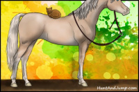 Horse Color:Chocolate Palomino Pearl 