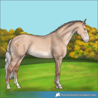 Horse Color:Chocolate Silver Sable Champagne Dun Sabino 