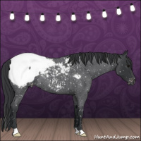 Horse Color:Blue Roan Snowcap 