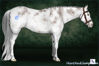 Horse Color:Brown Ice Sabino Rabicano 