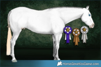 Horse Color:Buckskin Roan Splash Near Leopard Rabicano 