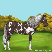 Horse Color:White Spotted Silver Brown 