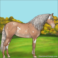 Horse Color:White Spotted Silver Sable Champagne 