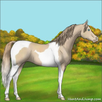 Horse Color:Perlino Tobiano 