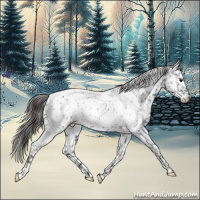 Horse Color:Blue Roan Near Leopard Rabicano 