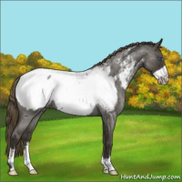 Horse Color:Smoky Blue Roan Frame Snowcap 