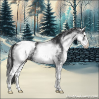 Horse Color:White Spotted Black Splash Appaloosa 