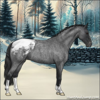 Horse Color:Blue Roan Varnish 