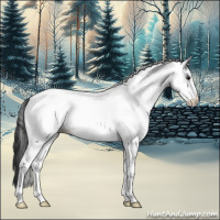 Horse Color:White Spotted Blue Roan Appaloosa 