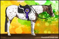 Horse Color:Bay Sabino Tobiano Appaloosa 