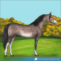 Horse Color:Platinum White Spotted Brown Rabicano 