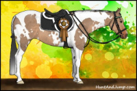 Horse Color:White Spotted Bay Dun Tobiano 