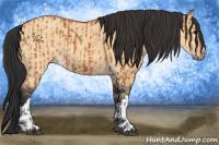 Horse Color:Bay  and Bay Dun 