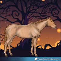 Horse Color:Red Roan 