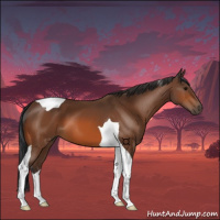 Horse Color:Bay Tobiano 