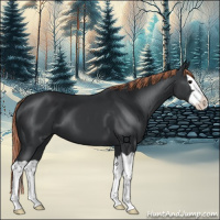 Horse Color:Painted Black Splash