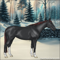 Horse Color:Painted Black 