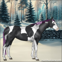 Horse Color:Painted Black Splash Tobiano
